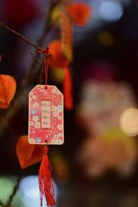 ứng dụng Sodo